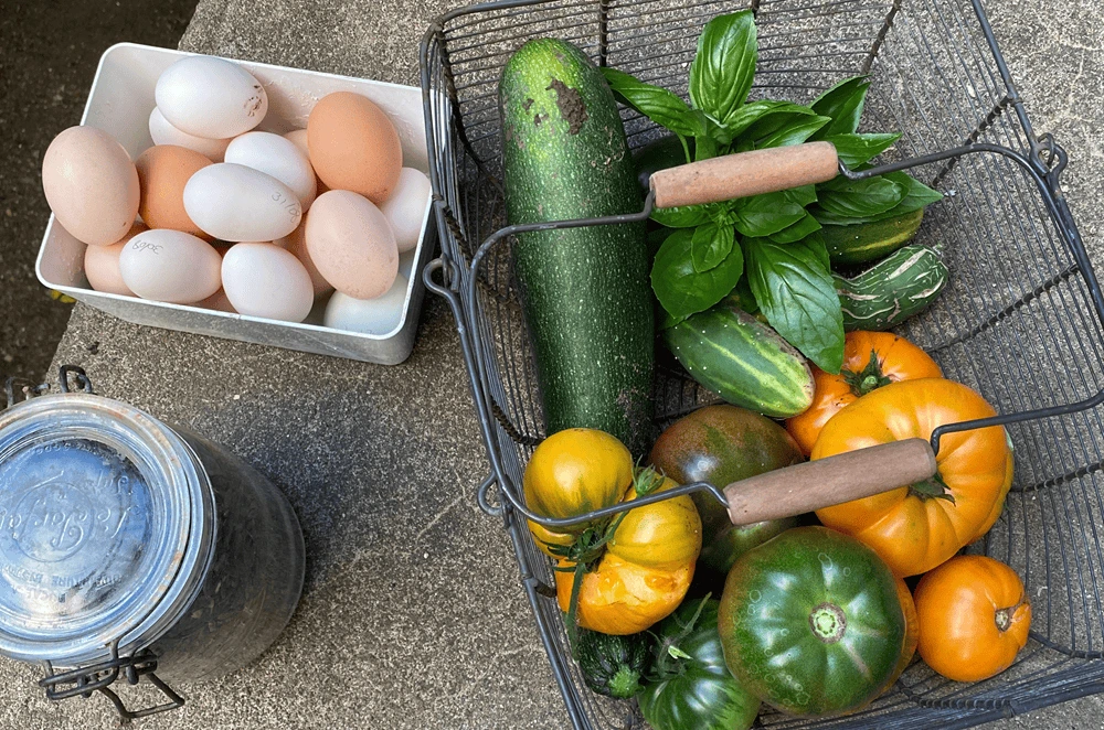 panier concombre et oeuf